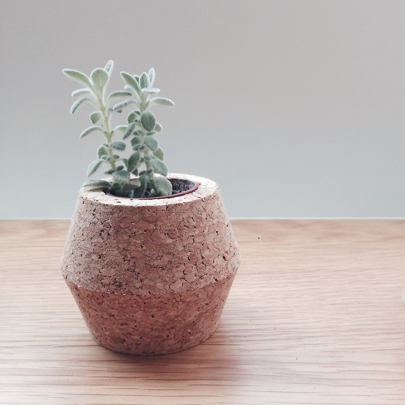 Second-order cork pot-A - Plants - Other Materials 