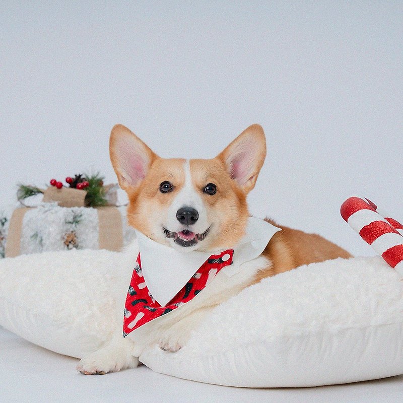 【 VERVVE 】Xmas'Narrow | 寵物領巾 | 聖誕紅白主題 - 寵物衣服 - 其他材質 