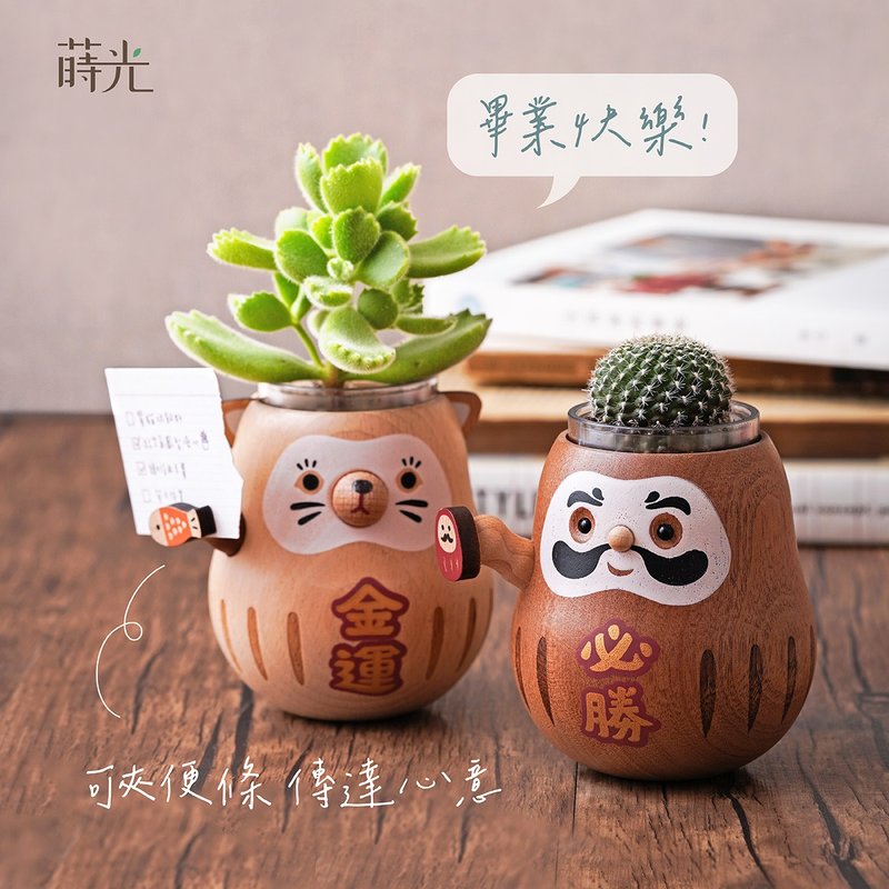 Wooden Plant Container Good Luck Daruma/Wealth Daruma | GREENFUL LIFE - Plants - Wood 