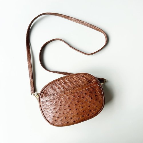 Ostrich bag Loewe Brown in Ostrich - 21717193