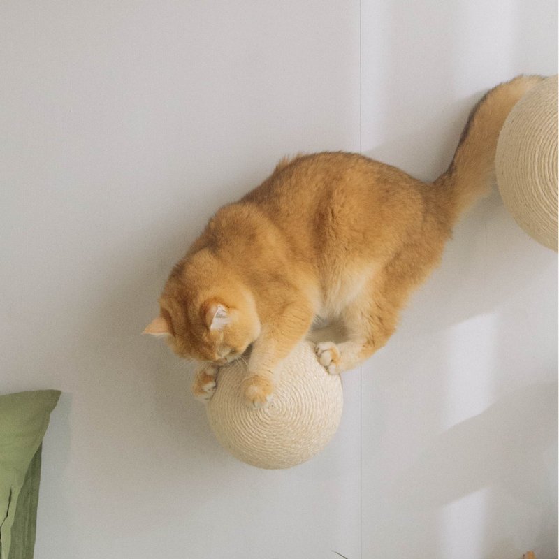 Caturn (にゃたーん) N18 - キャットタワー・爪とぎ - 木製 多色