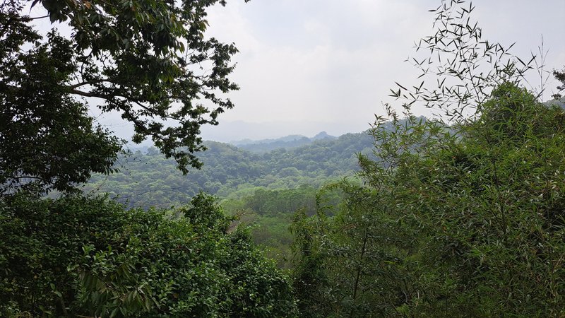 艾草純露10瓶 - 化妝水/保濕 - 濃縮/萃取物 綠色
