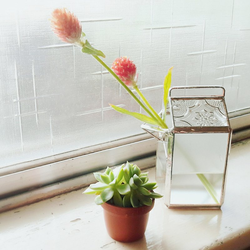 ミルクフラワーボックス - 小さな植物の花 - 観葉植物 - ガラス 透明