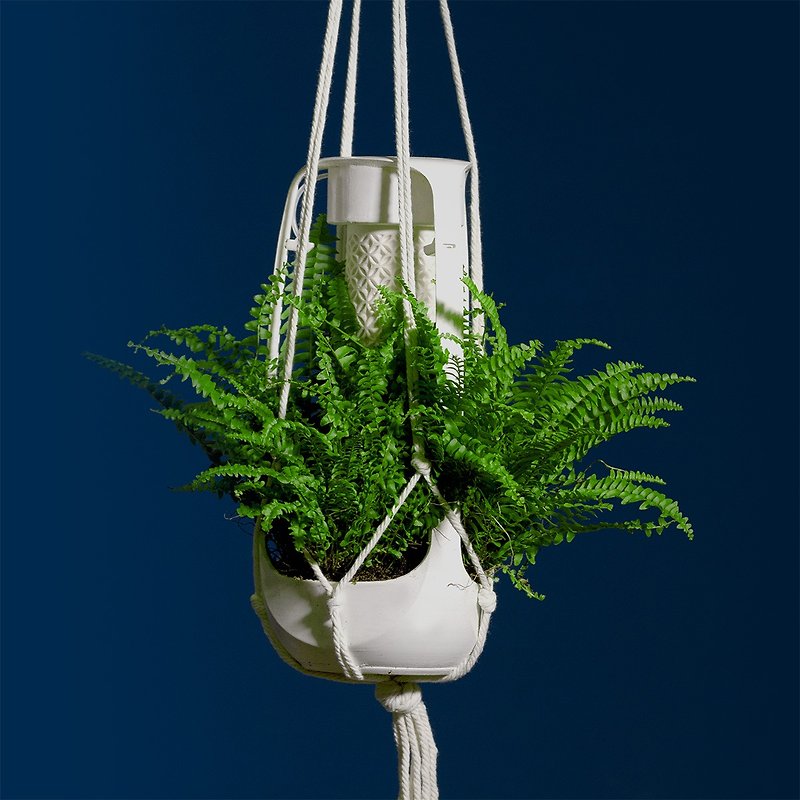 Macrame壁掛式吊繩 (Fernny免澆水花器配件) - 花瓶/花器 - 棉．麻 白色
