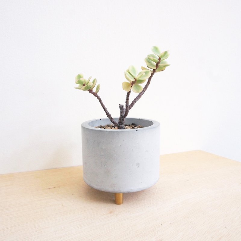 FENEN -Concrete Multi-use Pot with brass legs –Round - Plants - Cement Gray
