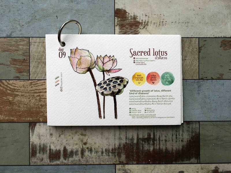【sacred lotus flower 】【calendar card】【Pinkoi Xmas 2022】【ของขวัญคริสต์มาส】 - Cards & Postcards - Paper 