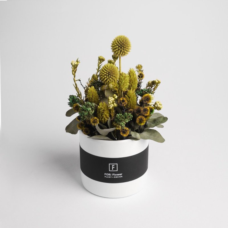 [花裡 FORi Flower]sweet cake-乾燥桌花-茉莉綠茶 - 盆栽/植栽 - 植物．花 綠色