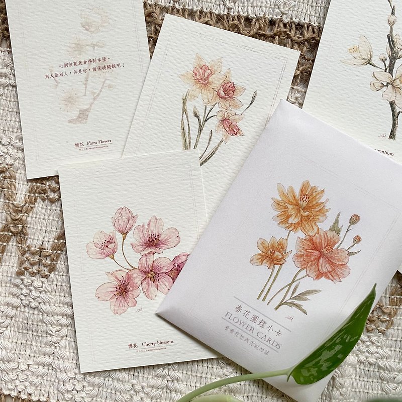 Spring flower card set - twelve types of flowers. Look at the back and what the flowers want to say to you. - Other - Paper 