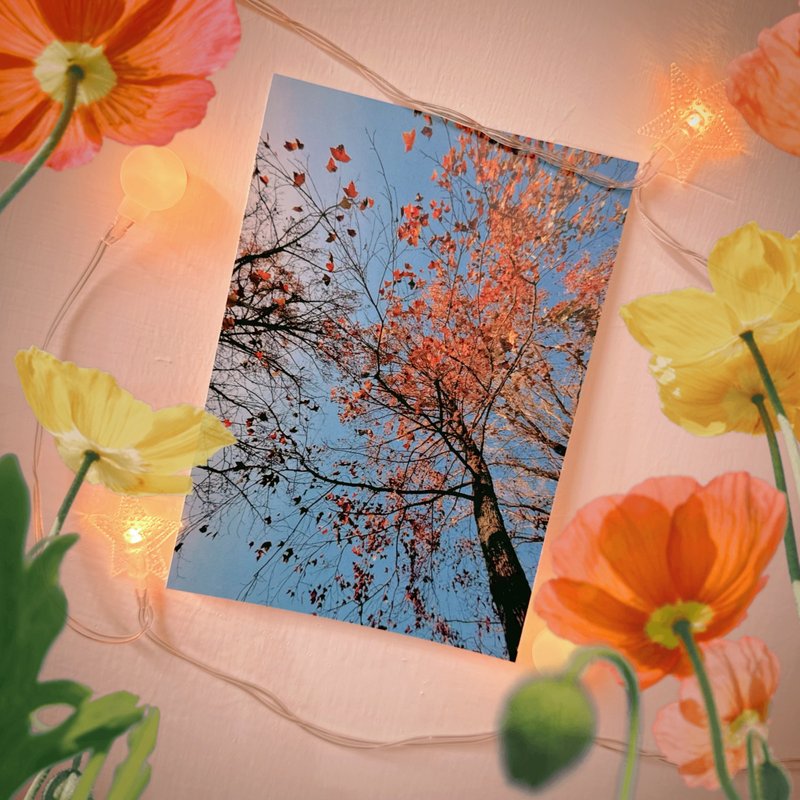 have a nice day 台湾のおもしろポストカード・クールカード／フウの木 - はがき・メッセージカード - 紙 多色