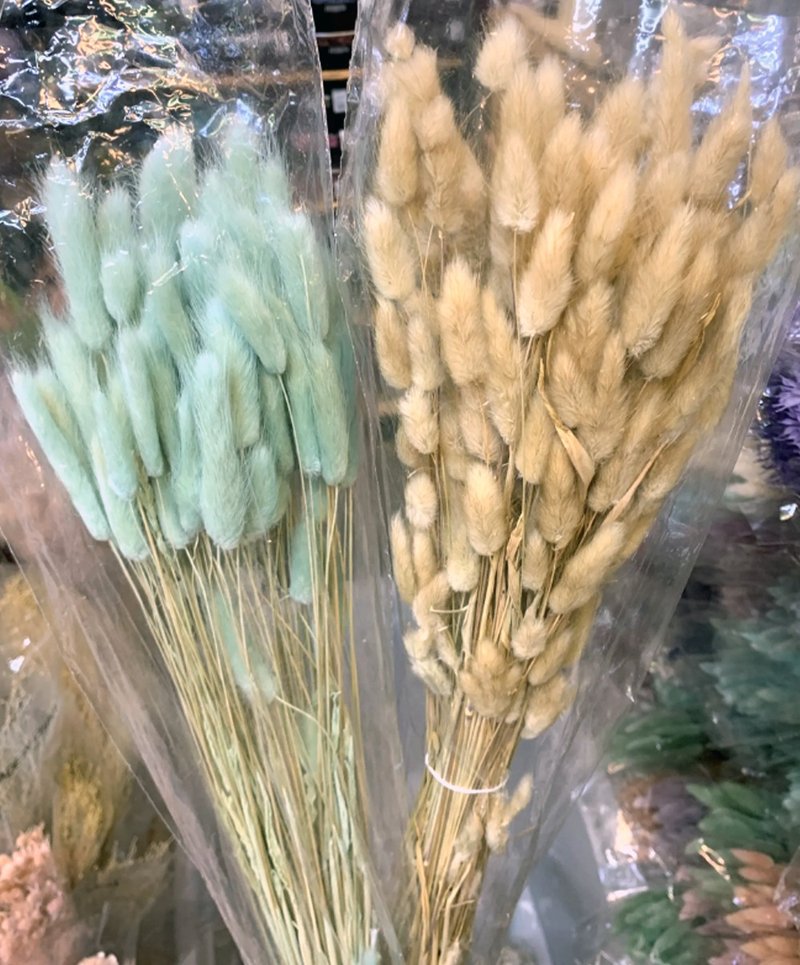 HUA禮柔情思念歐洲乾燥兔尾草 大包 - 乾燥花/永生花 - 植物．花 