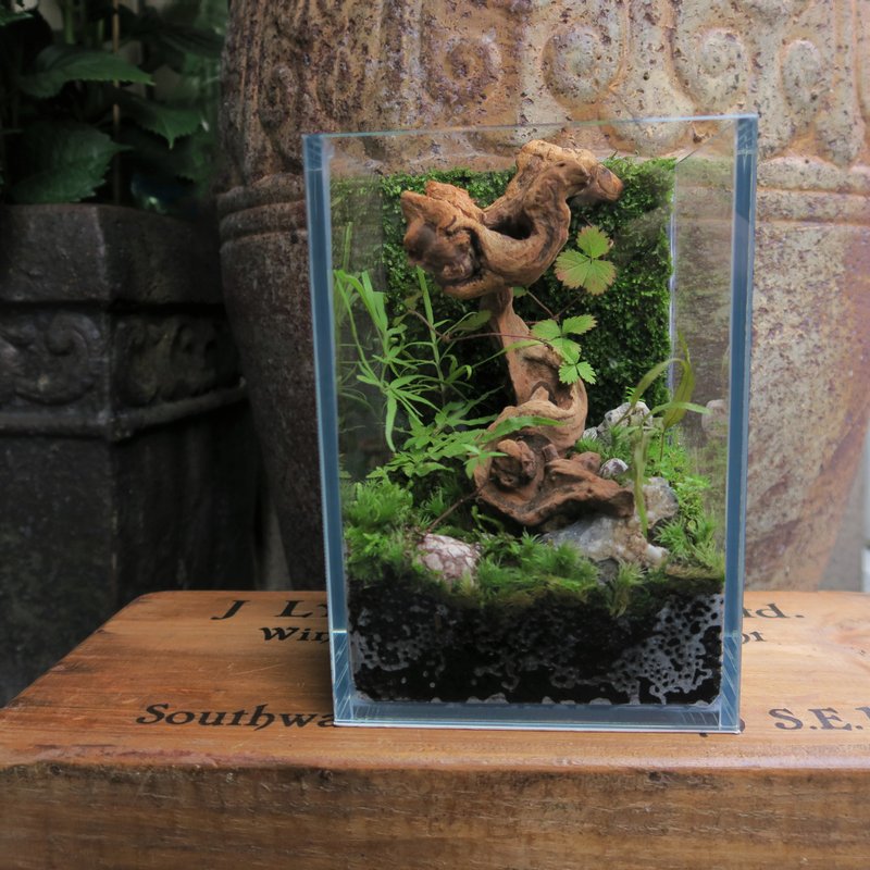 【一人成班】微景觀野趣苔蘚牆 附下午茶 - 植栽/花藝 - 植物．花 