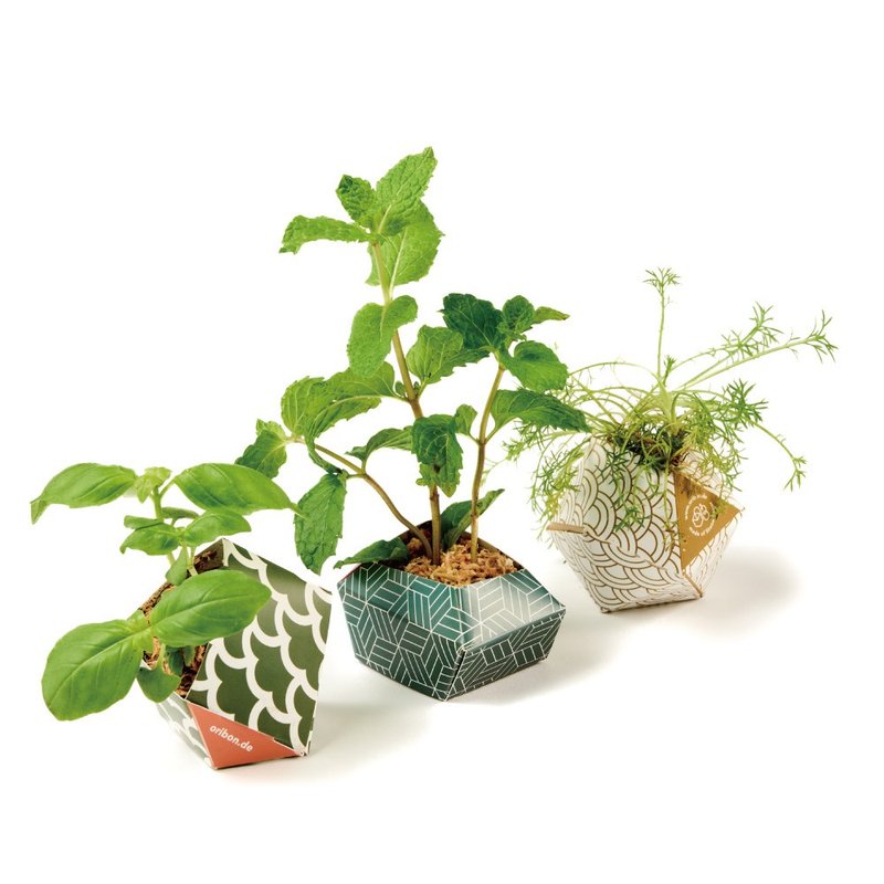 German origami potted plant set - elegant and Japanese style three colors - จัดดอกไม้/ต้นไม้ - วัสดุอื่นๆ 