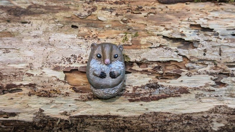 Crab-eating mongoose magnet (can be made into a pin) - Magnets - Clay 