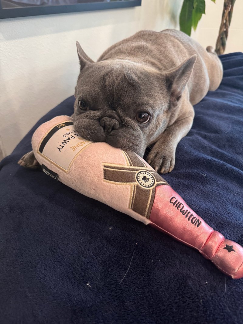 【狗玩具】 CHEWFFON 玫瑰香檳 - 貓/狗玩具 - 其他材質 