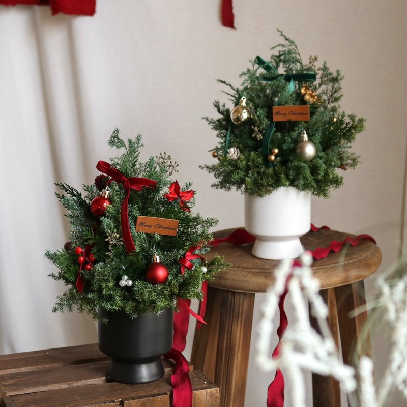 【遇見恆久】森間星語日本進口永生不凋雪松聖誕樹 共2款 - 乾燥花/永生花 - 植物．花 