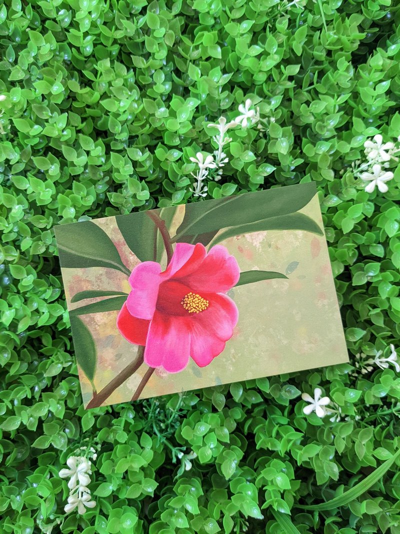 POSTCARD - FLOWER COLLECTION - Camellia hongkongensis - การ์ด/โปสการ์ด - กระดาษ หลากหลายสี