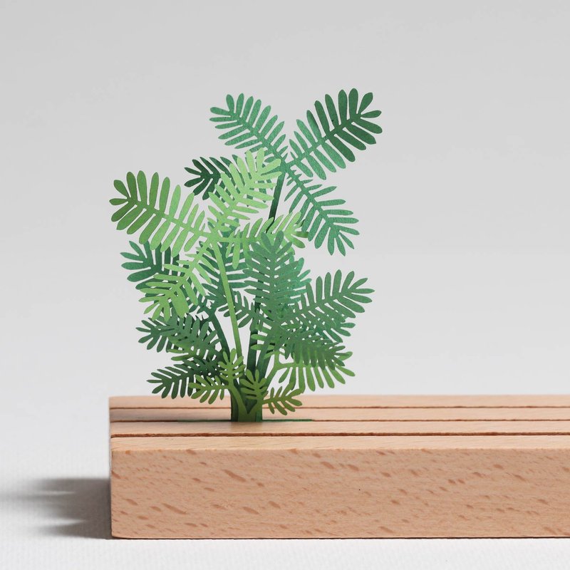 【3D Plant Sticker】 Mimosa pudica (605035) - FingerART Paper Art and Craft - สติกเกอร์ - กระดาษ สีเขียว