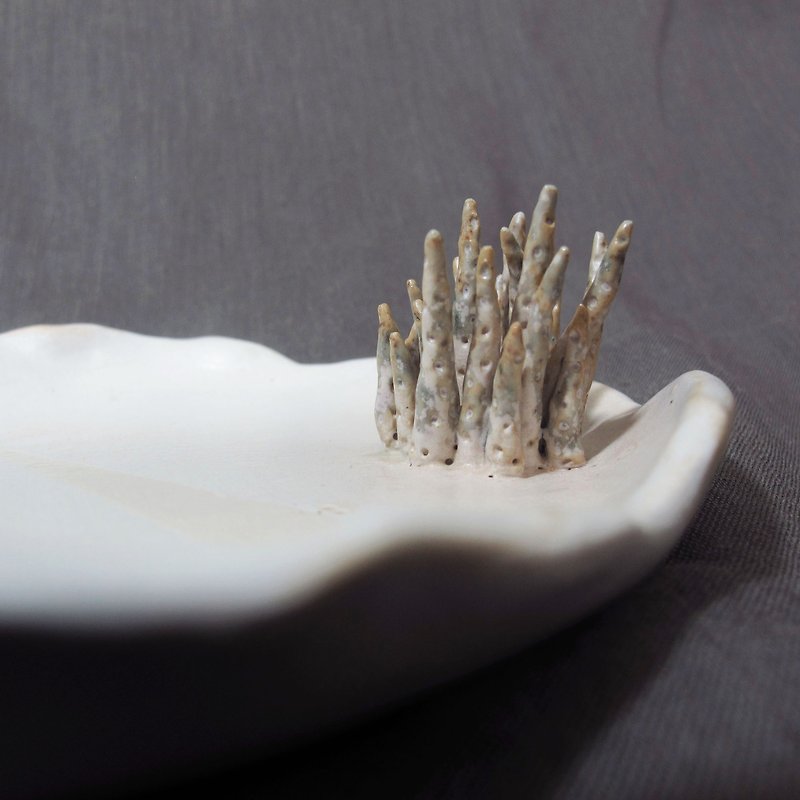 Hand pinch plant tray 01 - เซรามิก - ดินเผา ขาว