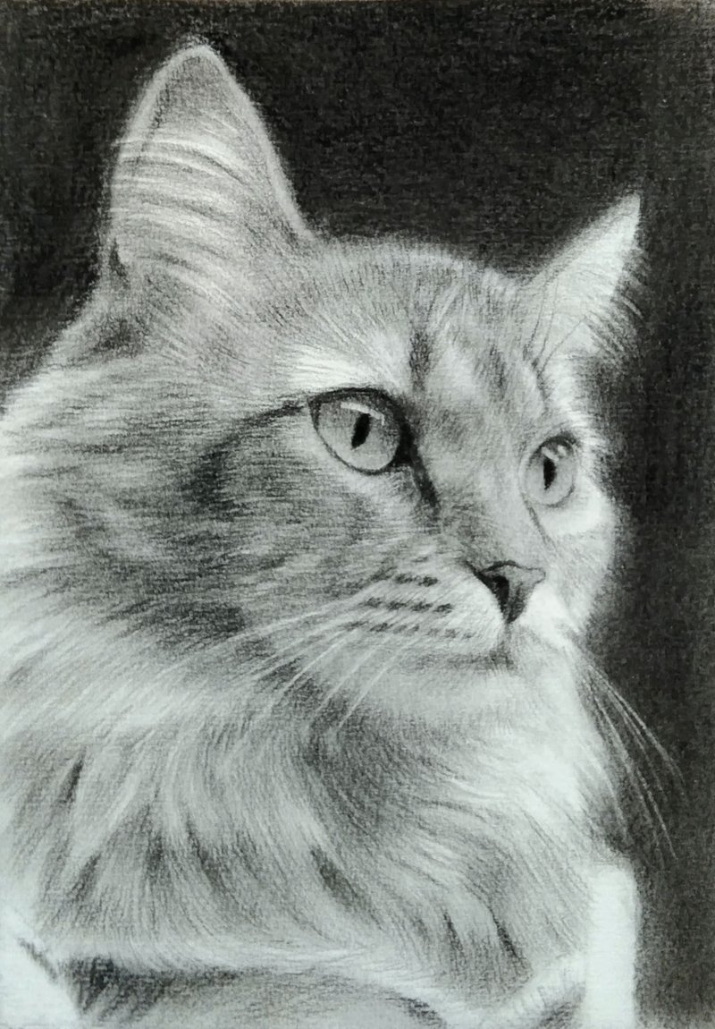 炭精筆素描 / 寵物畫 / 含框 - 似顏繪/客製畫 - 紙 