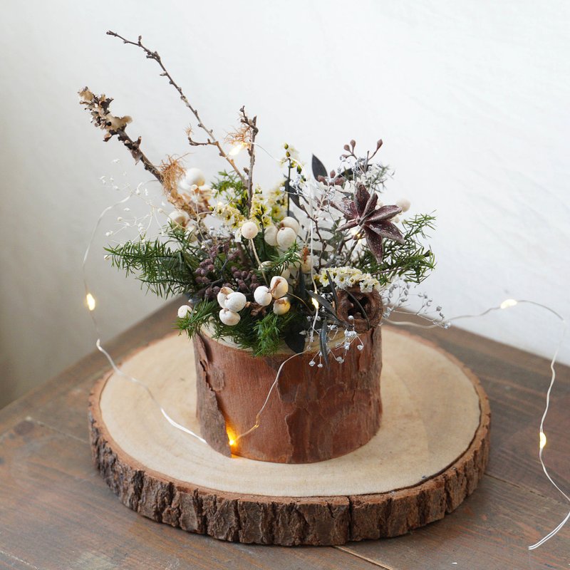 [DIY material package] A little light of eternal Christmas potted flowers/with simple electronic instruction manual - Plants & Floral Arrangement - Plants & Flowers 