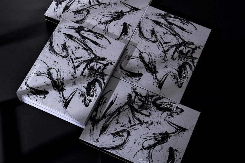 Crazy Pen and Ink - Special Collection by Xu Yongjin - หนังสือซีน - กระดาษ 