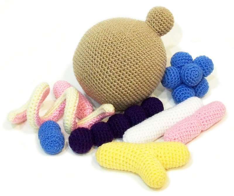 Microbes PDF crochet pattern / Pattern for science amigurumi Bacteria and Fungi - 手工藝教學/工具書 - 其他材質 