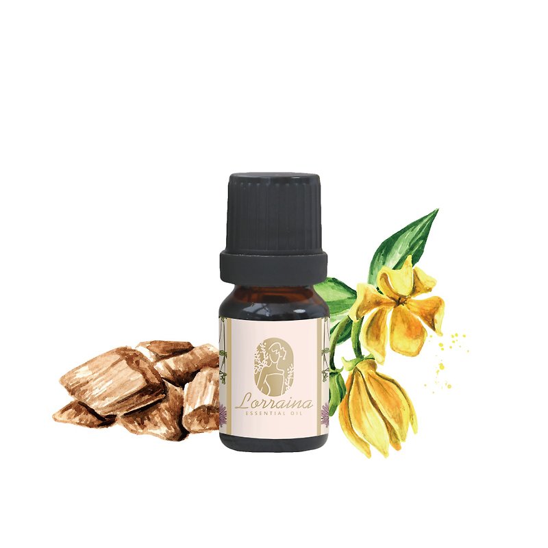 The Land of Sandalwood—Wood Compound Essential Oil- Short-term discount 2023/08 - Fragrances - Glass Brown