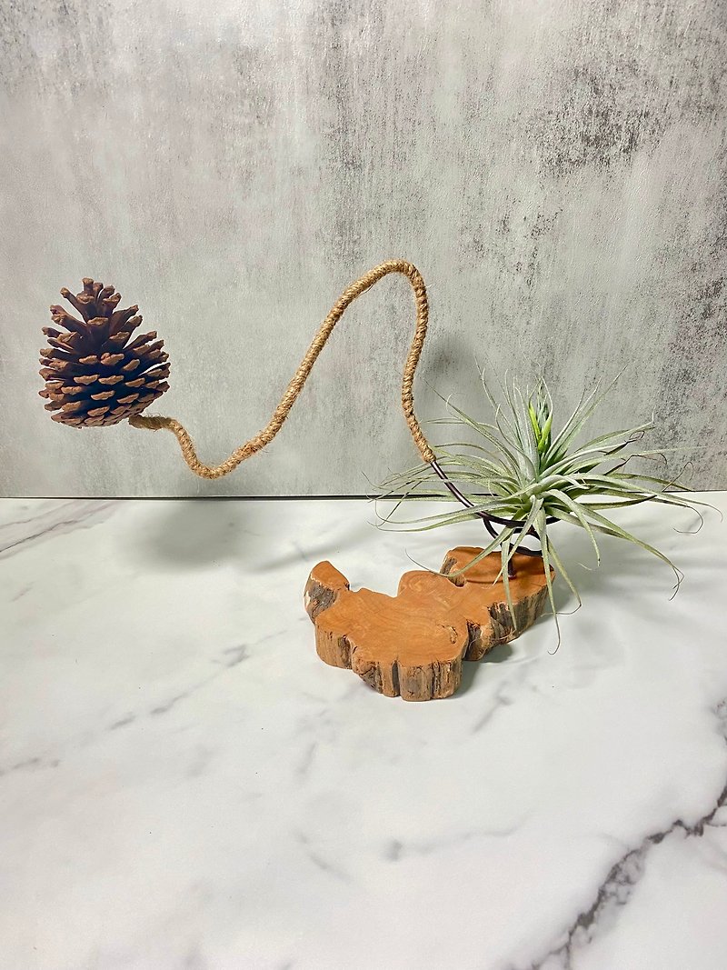 【Dragon Cypress and Pine Cones】Marshmallow Lady | Air Pineapple. Air Tillandsia - Plants - Wood Brown