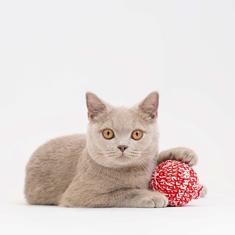【JAYU PET】ムティアンタデ ストレス解消 猫おもちゃ 抗菌糸 純手縫い - おもちゃ - その他の素材 