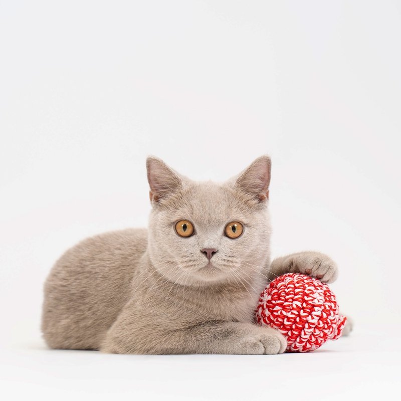 [JAYU PET] Mutian Polygonum Stress Relief Ball (Cat Toy) Antibacterial Yarn Purely Hand-sewn - Pet Toys - Other Materials 