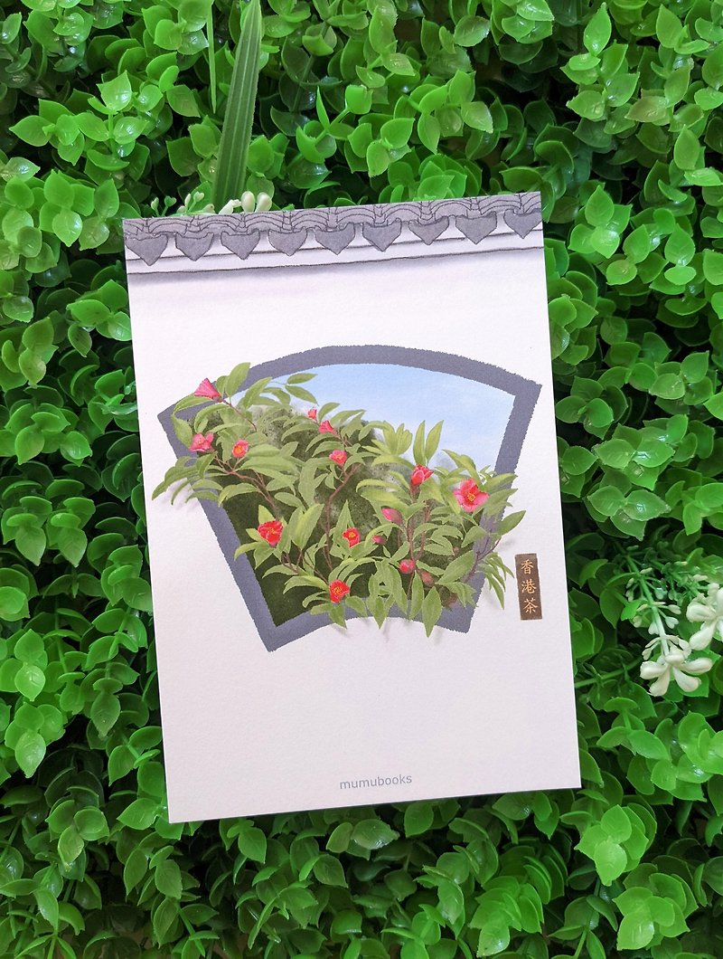 明信片 – 花卉系列 – 香港茶 - 心意卡/卡片 - 紙 多色