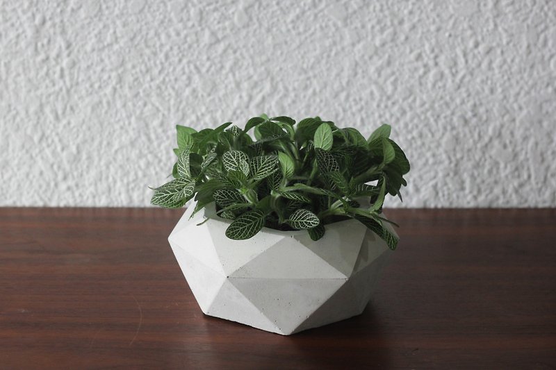 ビッグダイヤモンド|セメントの幾何学的な鉢と花 - 観葉植物 - コンクリート グレー