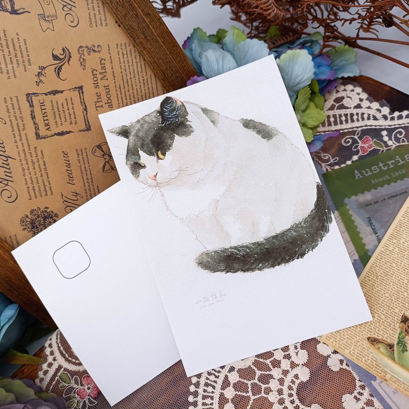 LS147_Cat Postcard_08/Postcard - การ์ด/โปสการ์ด - กระดาษ หลากหลายสี