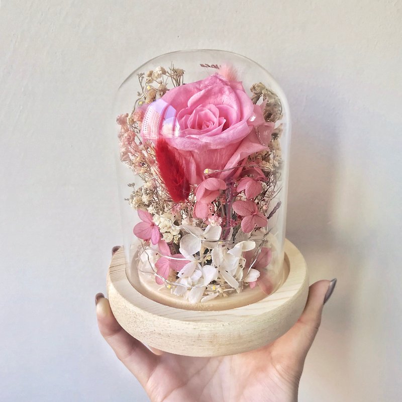 First love pink eternal rose night light - โคมไฟ - พืช/ดอกไม้ สึชมพู