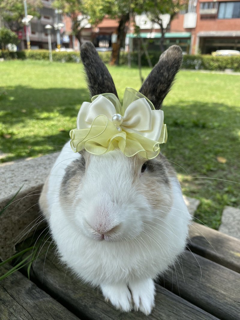 Q1-handmade pet birthday hat pet hair accessories headgear bunny leash accessories bunny wreath - ชุดสัตว์เลี้ยง - วัสดุอื่นๆ หลากหลายสี