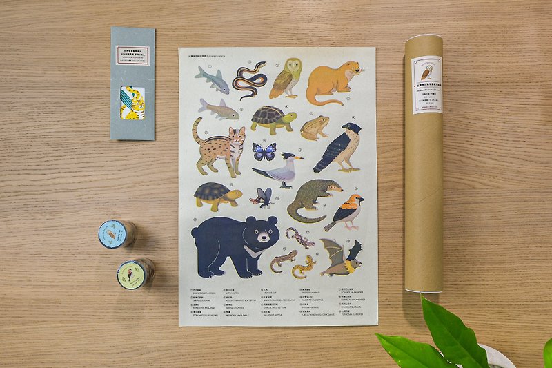 紙 卡片/明信片 - 台灣保育動物海報 / 孔版印刷