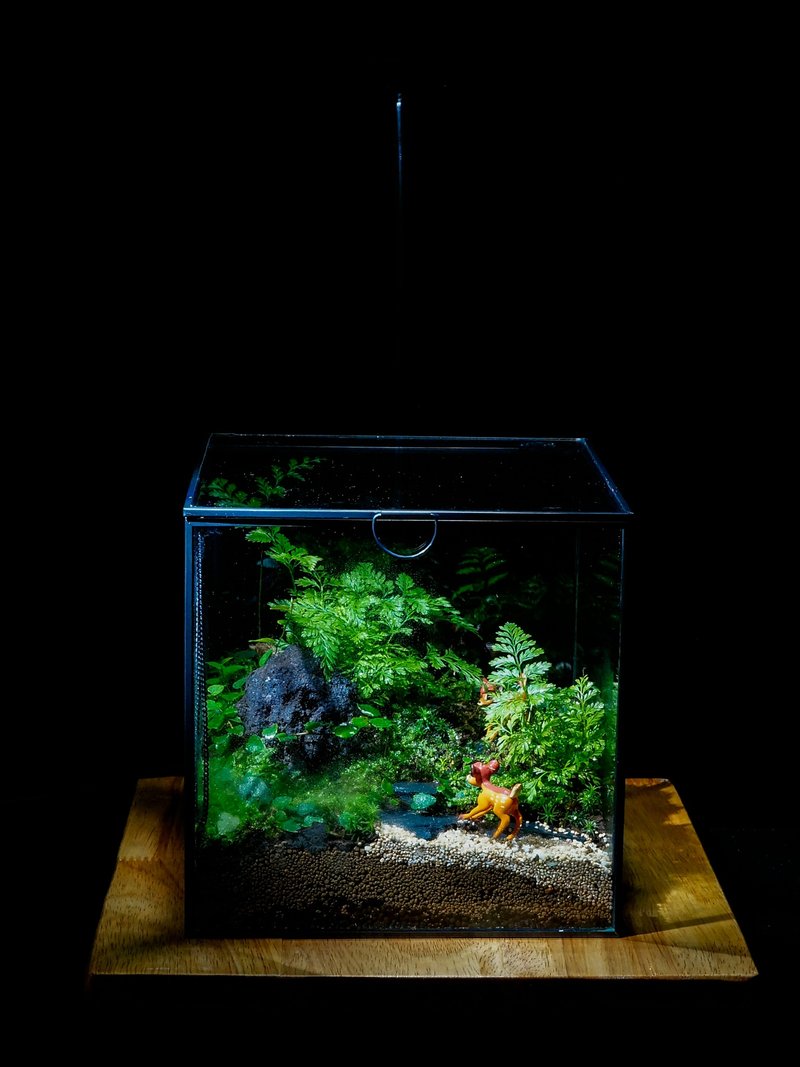 植物．花 植栽/花藝 - 苔蘚微景觀課程