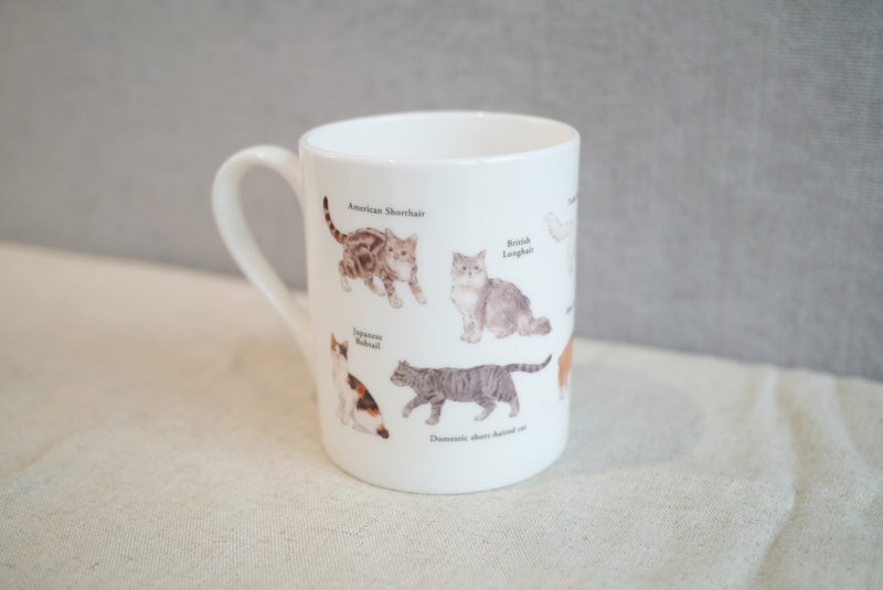 Cat Shell Porcelain Cup Mug - Cups - Glass 