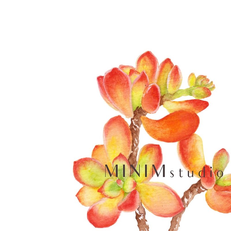 Succulent Watercolor Art Print. Red Orange Painting. Botany Plant Floral Art - Posters - Paper 