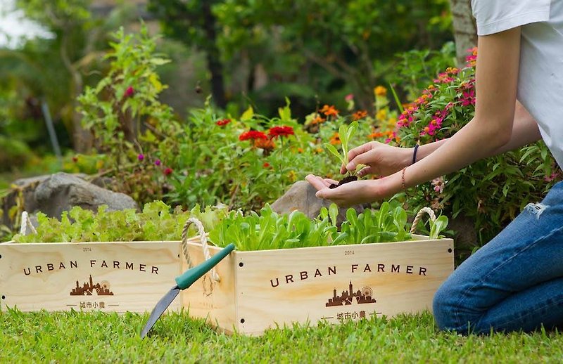 Urban Small Farmer Cultivation Group-Pastoral Music/Gardening Vegetables/Planting Series - Plants - Wood Khaki
