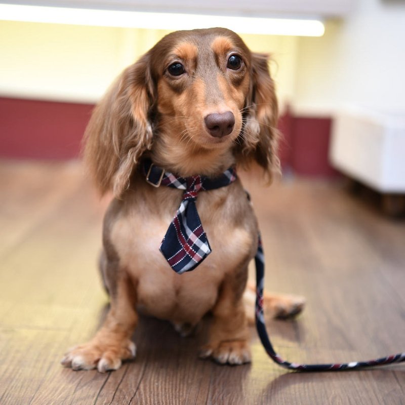 Handmade Classic Tartan/Plaid Pet Dog Collar Accessory-Tie - Navy Blue【ZAZAZOO】 - Collars & Leashes - Cotton & Hemp Blue