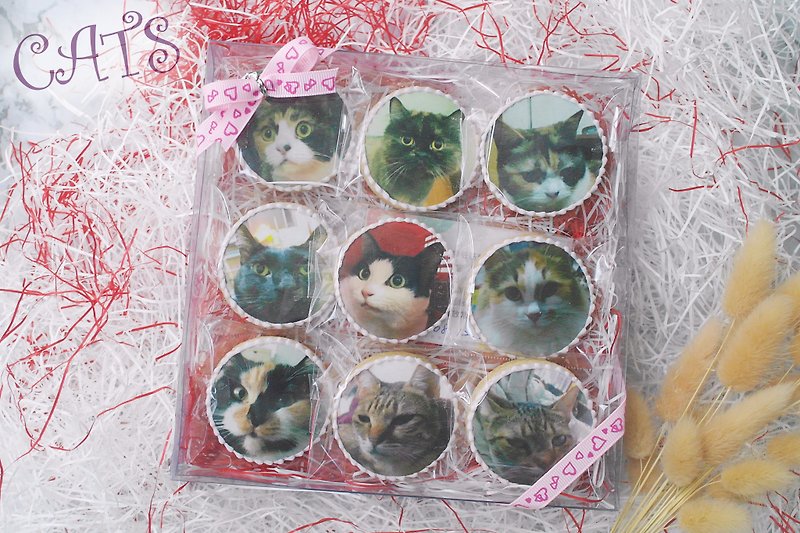 Collection of custom cat birthday gifts / icing biscuits - Handmade Cookies - Fresh Ingredients 