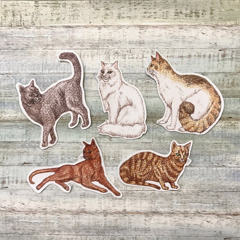 Color pencil hand-painted long face cat waterproof sticker set 5 pieces - สติกเกอร์ - กระดาษ 