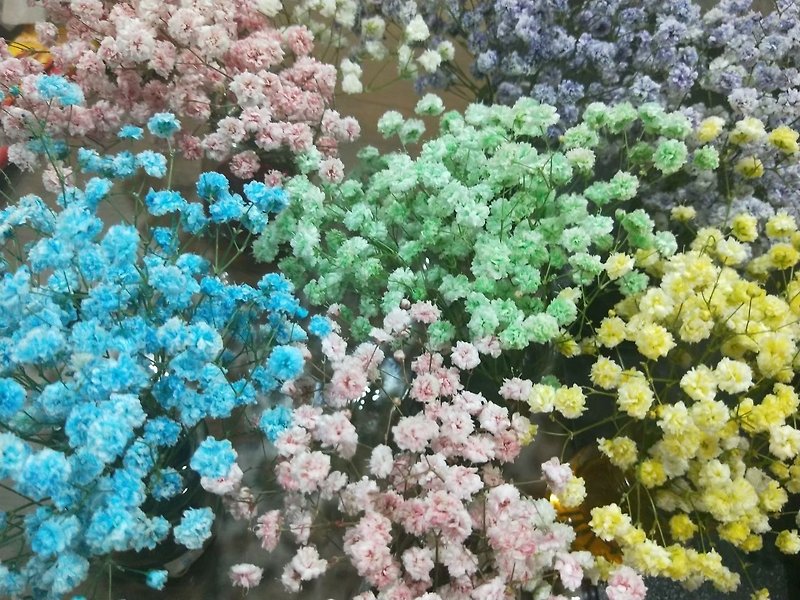 鮮花凍齡的製作體驗 【送一堂永生花設計課】 - 盆栽/花藝 - 植物．花 