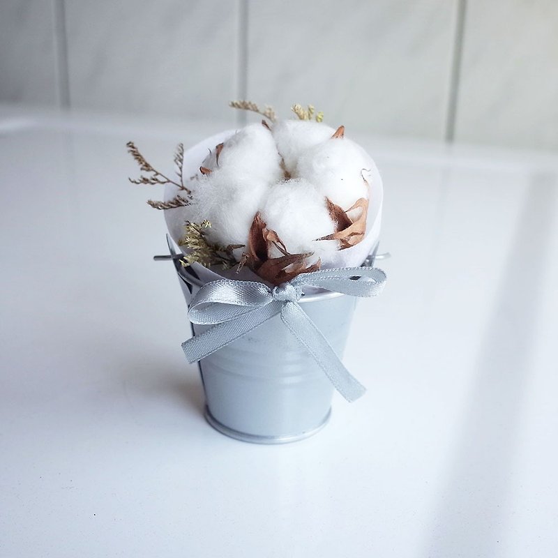 【Q-cute】乾燥花小盆花系列-軟綿綿棉花
