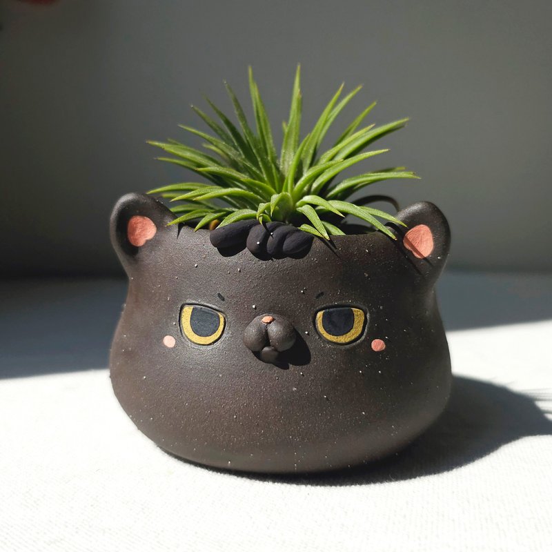 Black cat plant pot. Handmade planter with drainage hole. - 盆栽/植栽 - 陶 