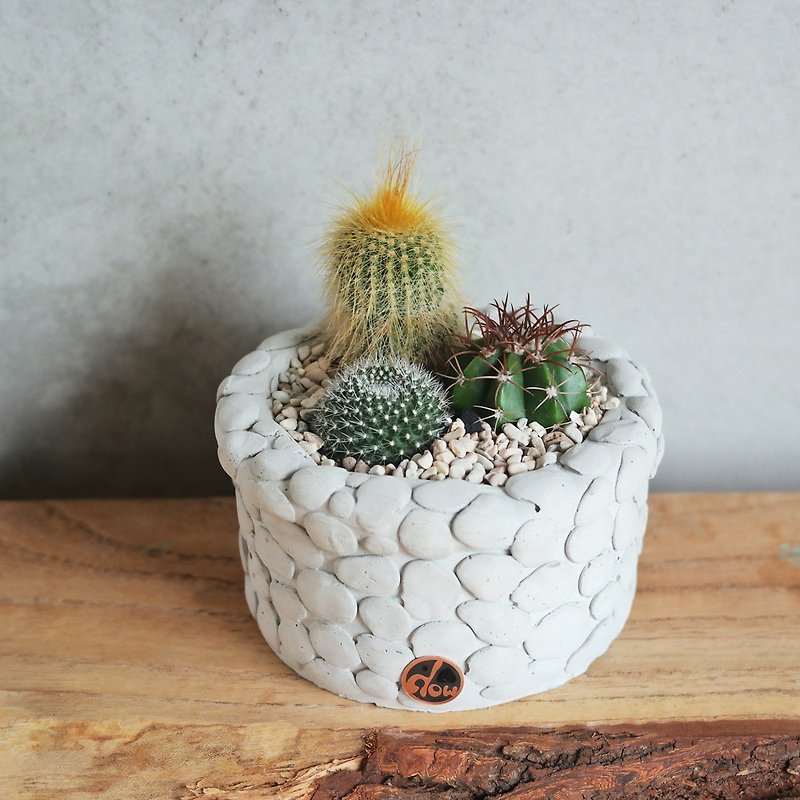 Doudou succulents and small groceries - handmade mud pots feel Suichuang series - water well primary color gray - ตกแต่งต้นไม้ - ปูน 