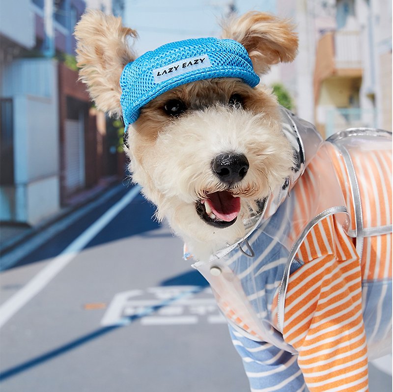 狗狗帽子 遮陽帽 搞怪可愛 可調節 - 寵物衣服 - 聚酯纖維 藍色