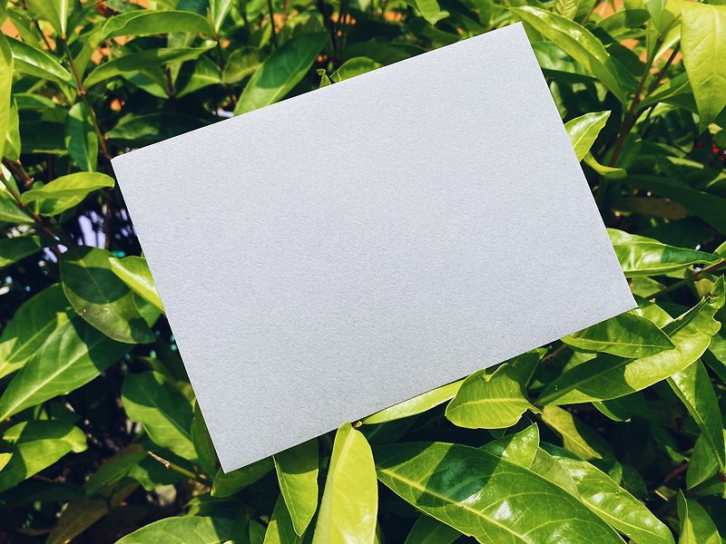 Intellectual Grey Envelope - ซองจดหมาย - กระดาษ สีเทา