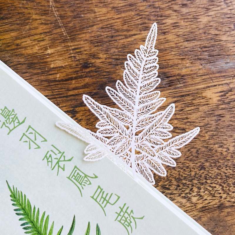 蕨類標本紙雕2.0-半邊羽裂鳳尾蕨| 紙雕 書籤 植物 母親節 文具 - 書籤 - 紙 白色
